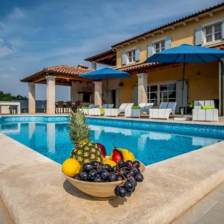 Pavicini 2181 Segotici