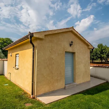 Pavicini 2181 * Segotici