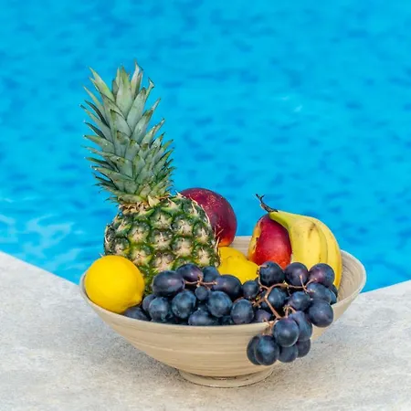 Pavicini 2181 Segotici